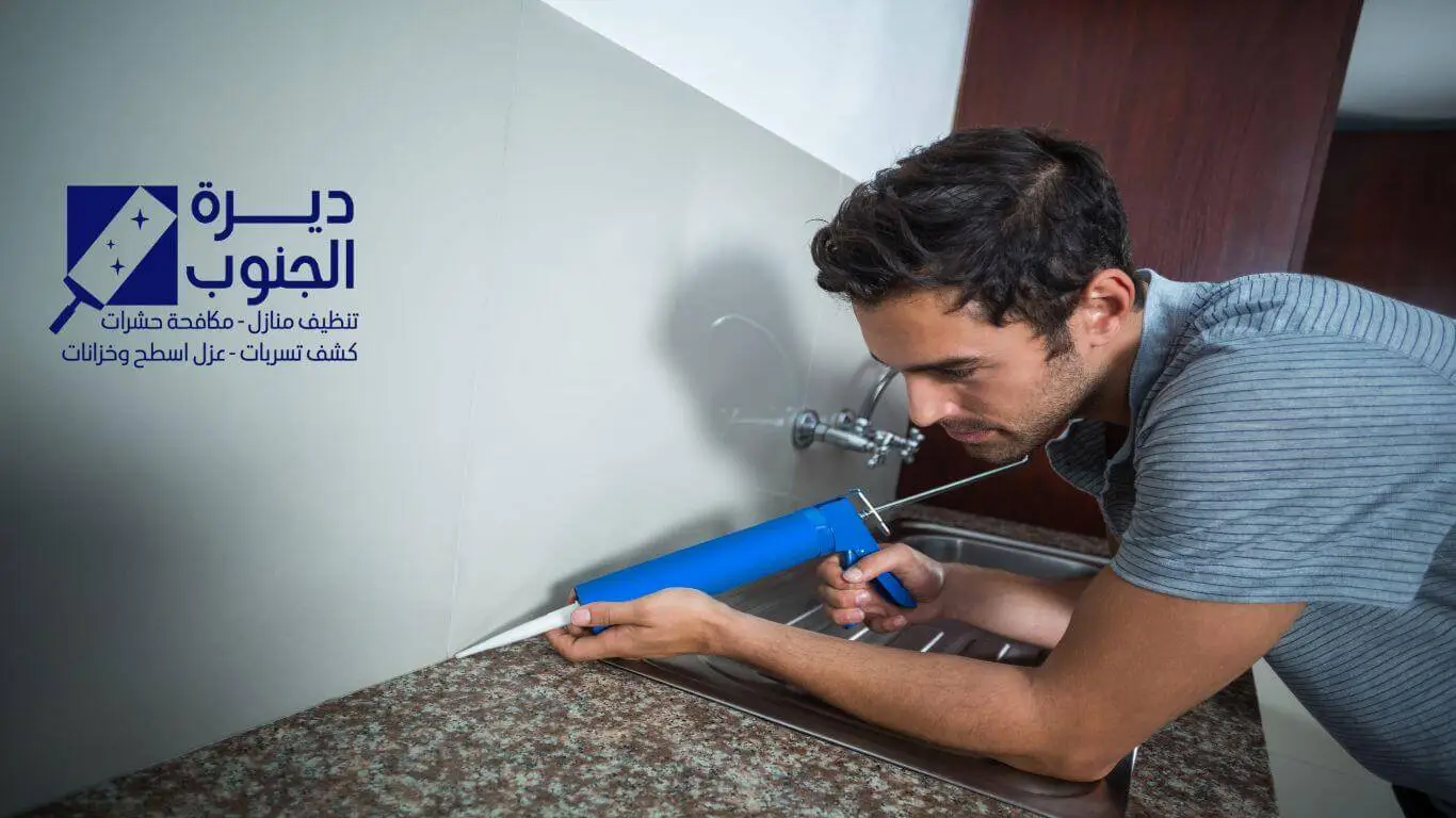شركة مكافحة حشرات بسبت العلاية