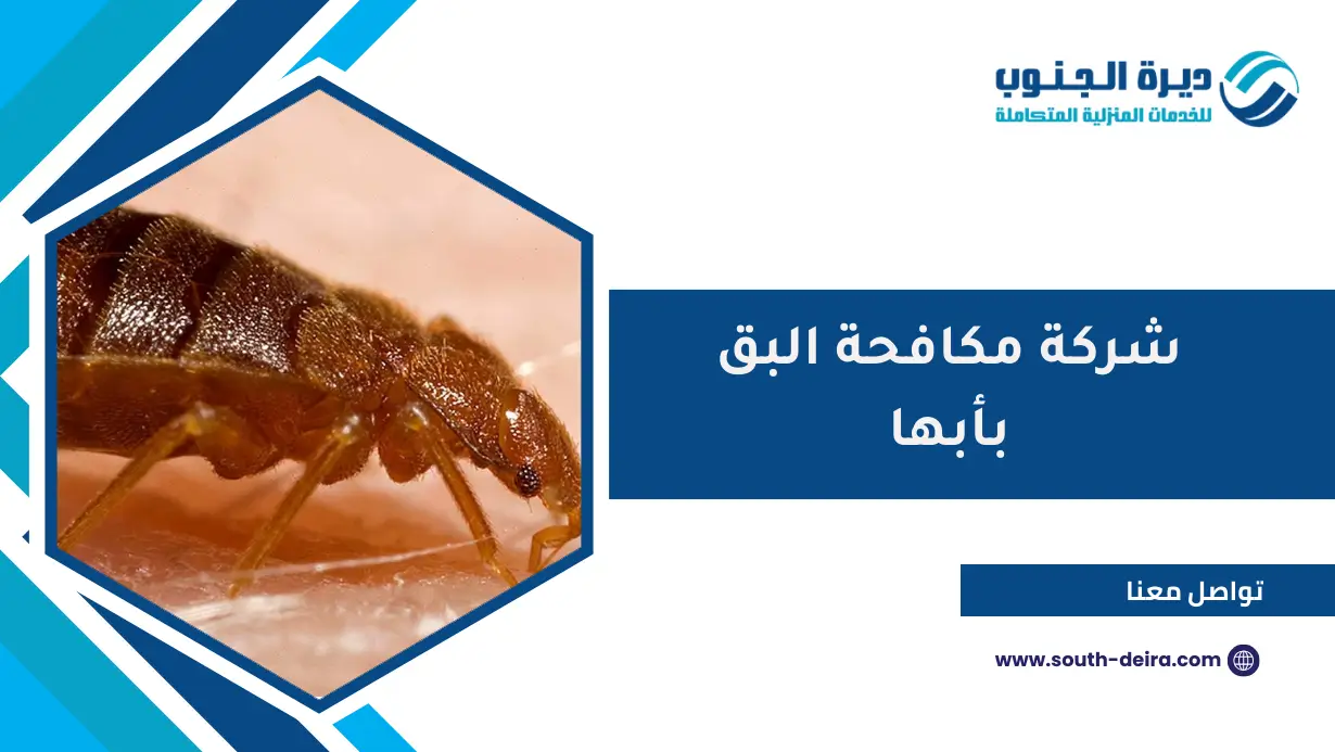 شركة مكافحة البق بأبها