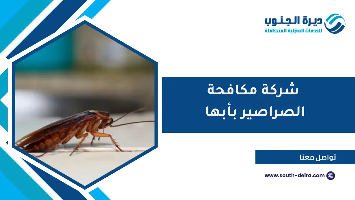 شركة مكافحة الصراصير بأبها