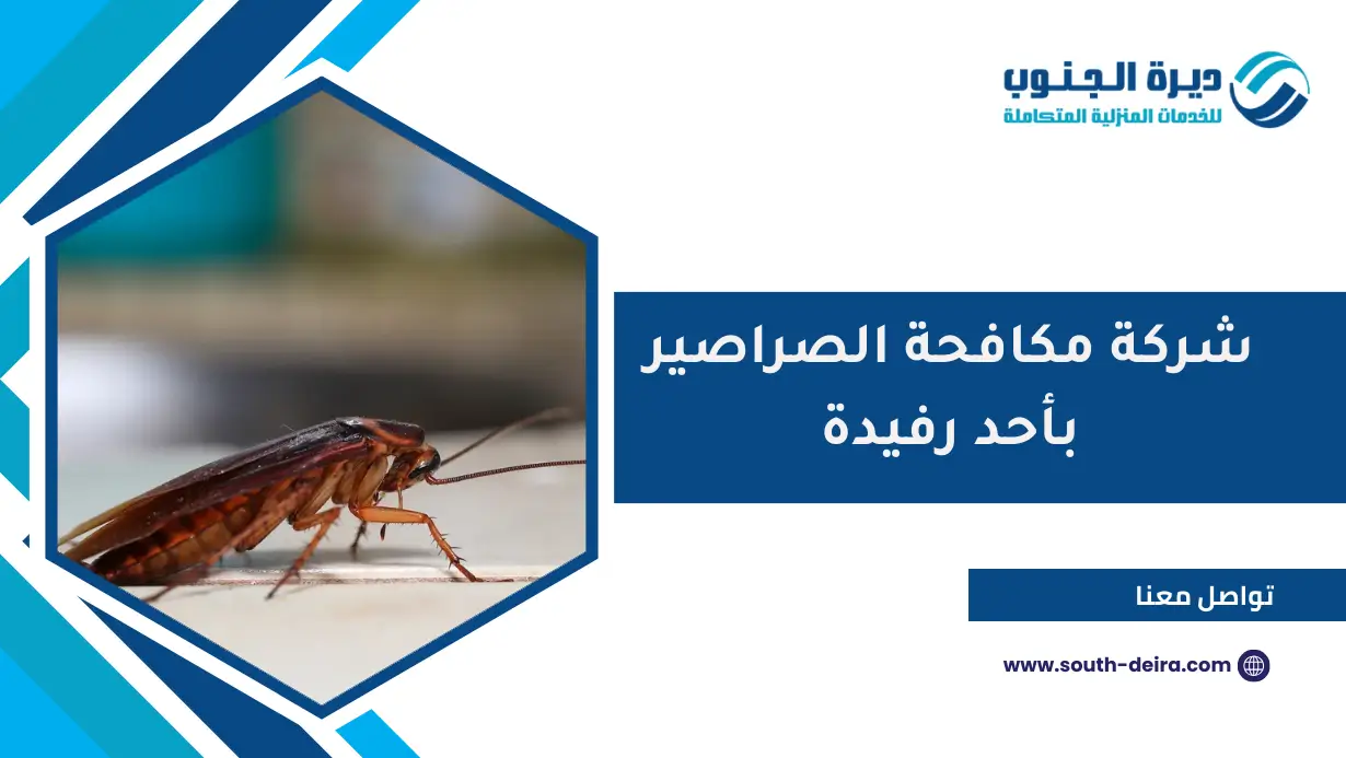 شركة مكافحة الصراصير بأحد رفيدة