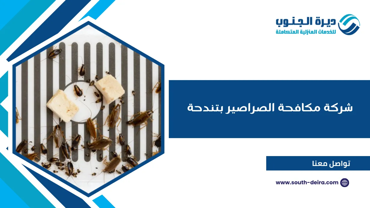 شركة مكافحة الصراصير بتندحة