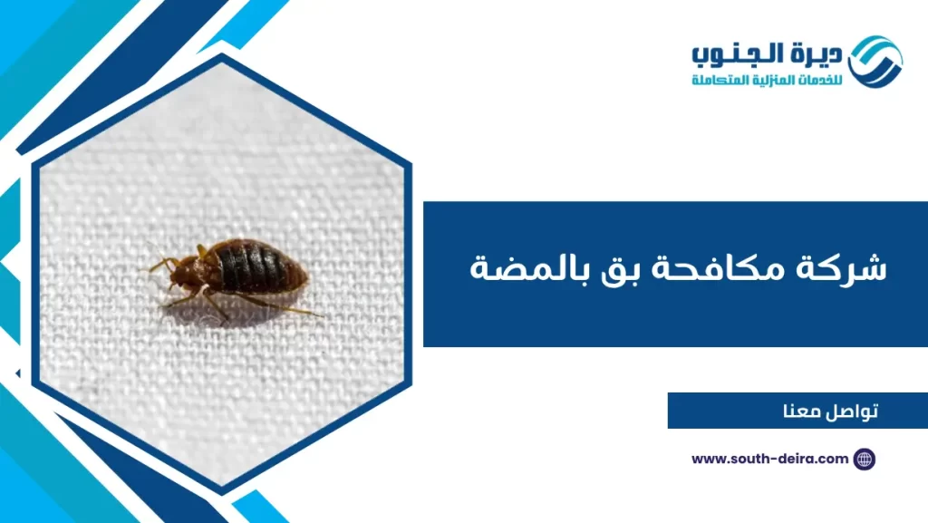 شركة مكافحة بق بالمضة