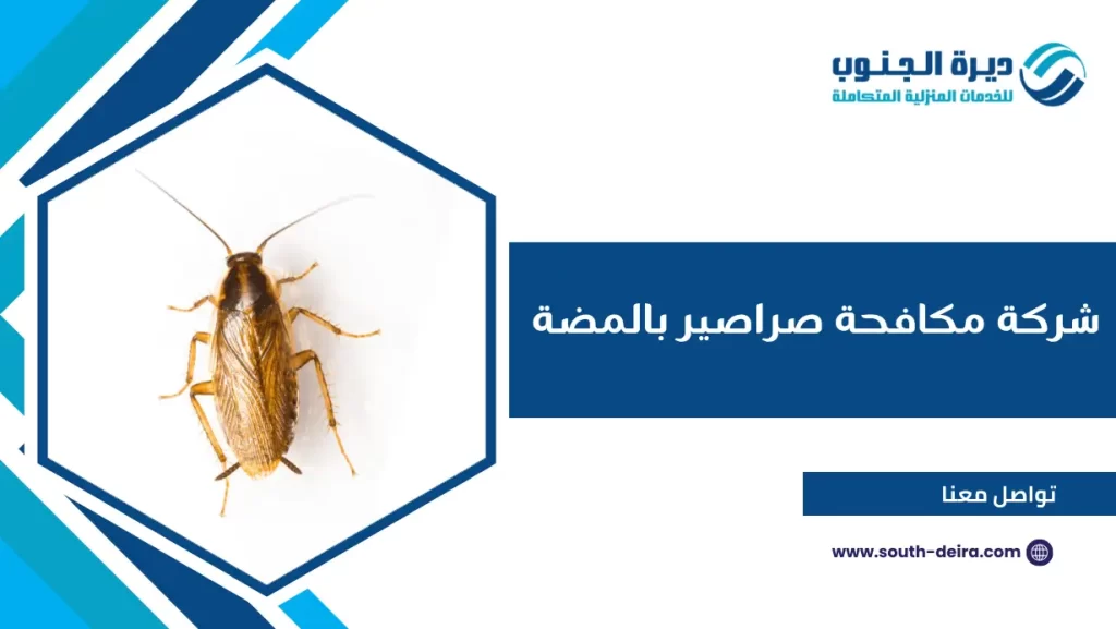شركة مكافحة صراصير بالمضة