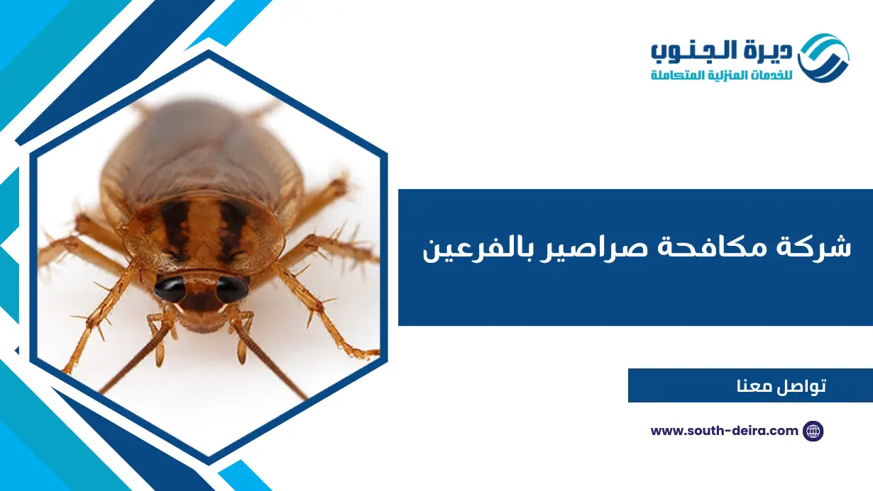 شركة مكافحة صراصير بالفرعين