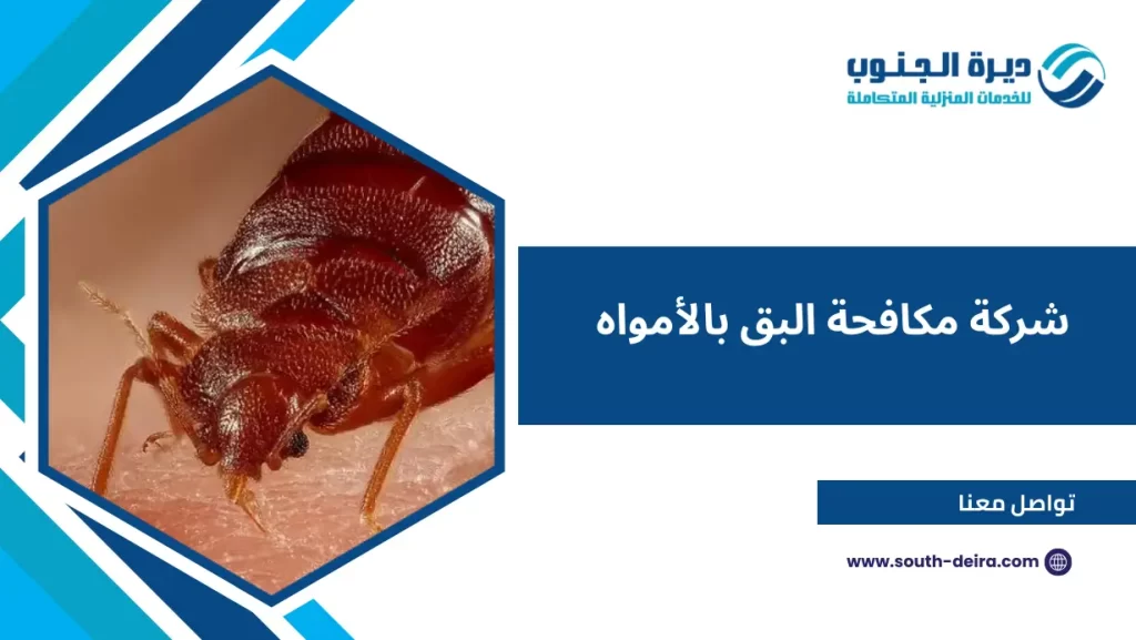 شركة مكافحة البق بالأمواه
