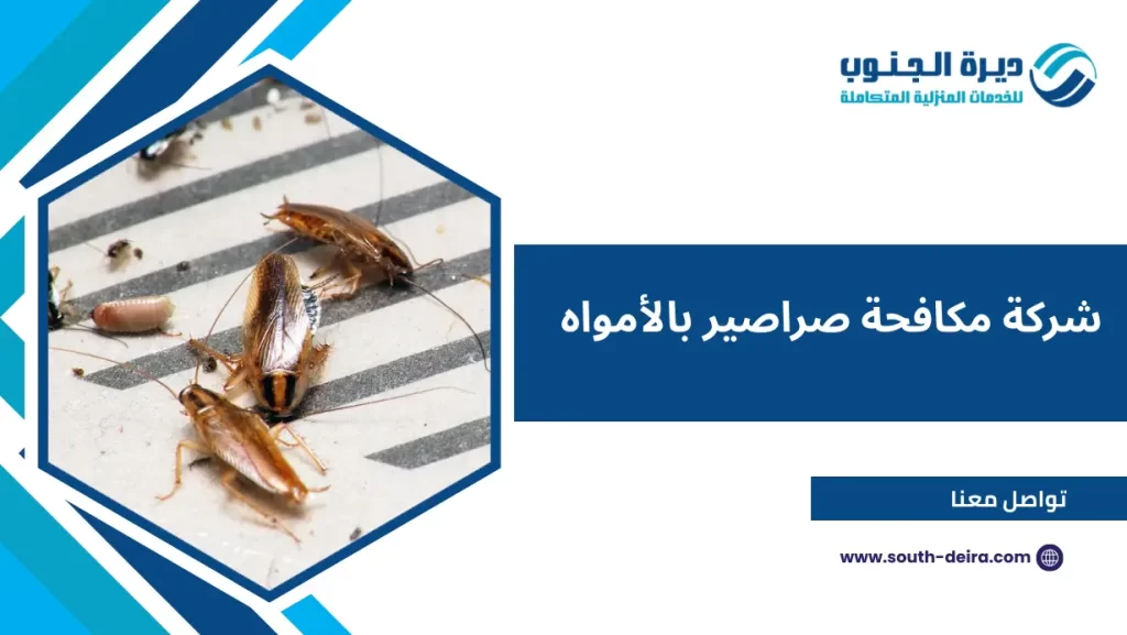 شركة مكافحة صراصير بالأمواه